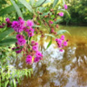 Meet your Posher, Darren